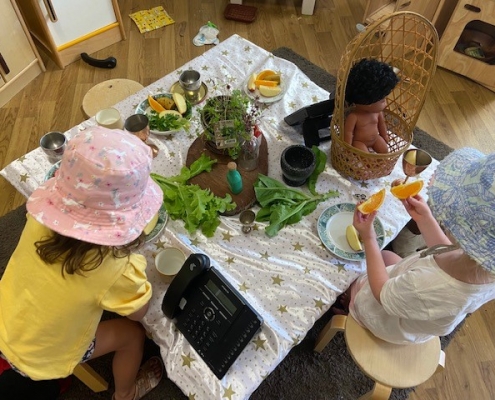 Increasing Food Exposures through play