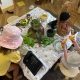 Increasing Food Exposures through play